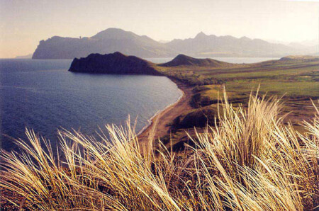 ковыль Киммерии