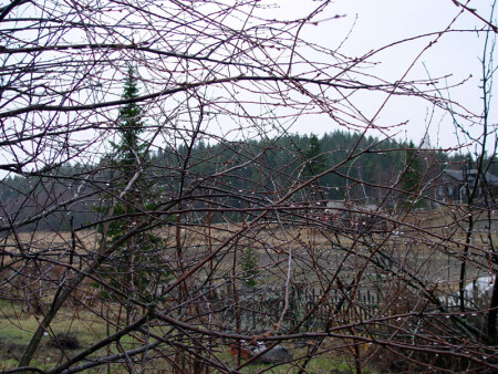 Капли Дождя