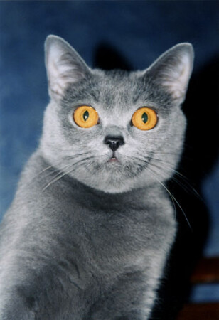 Вы, что обалдели?! 3 часа ночи!!!