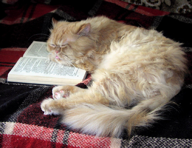 Скучная книжка (repost)