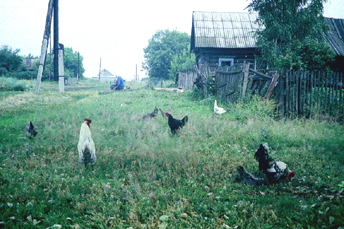 Деревенька