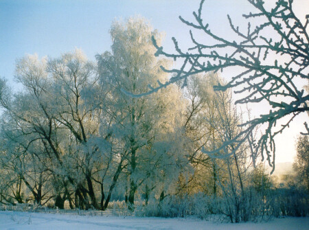 Воспоминания о зиме.