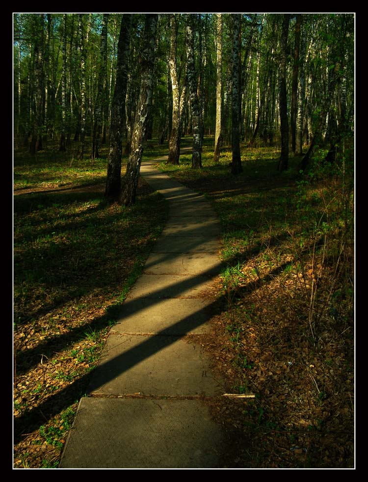 Дорожка