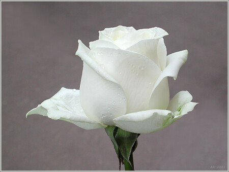 Утро - for you!