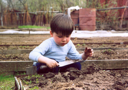 Уфф...последняя грядка!