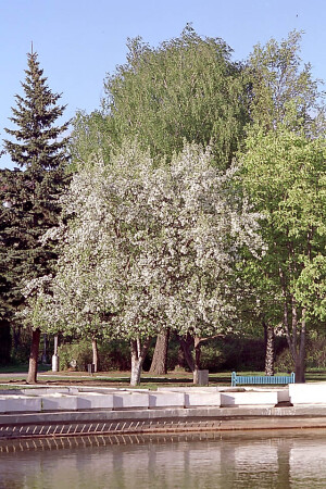 Весна в городе