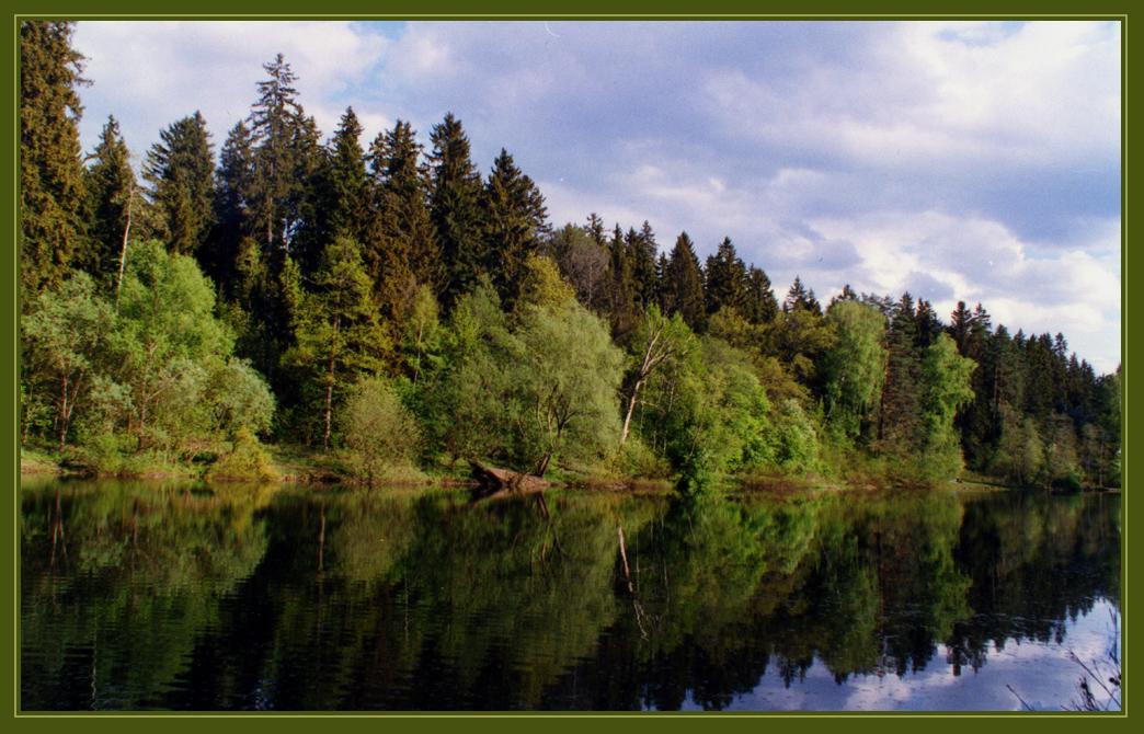 лесное озеро