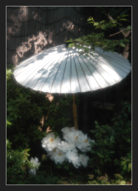 Parasol`ka