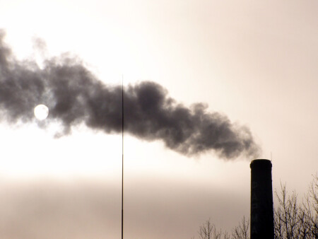 Вид из окна