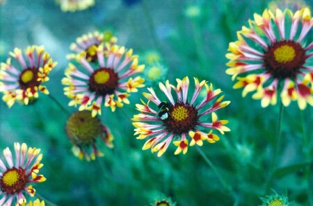 Общий план. Вид сверху.