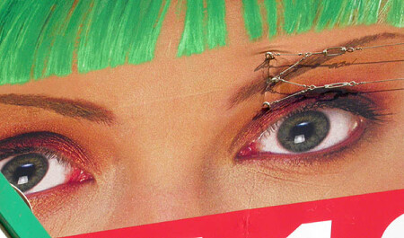 Уличная офтальмология