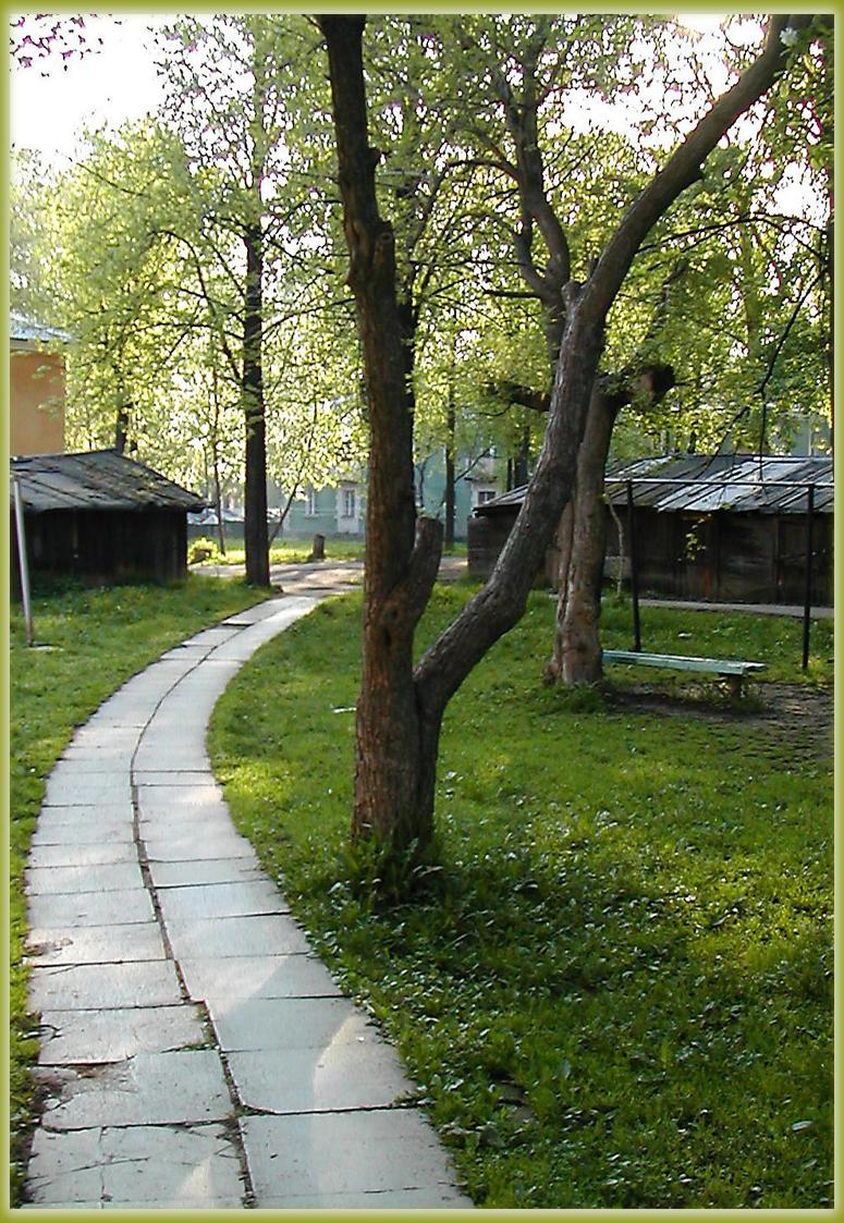 Дороги домой.