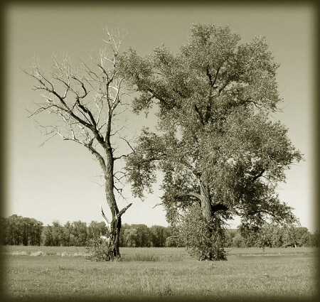 Неизбежность