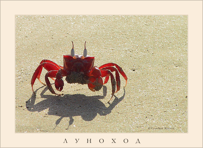 Я -"Луноход-1" !...