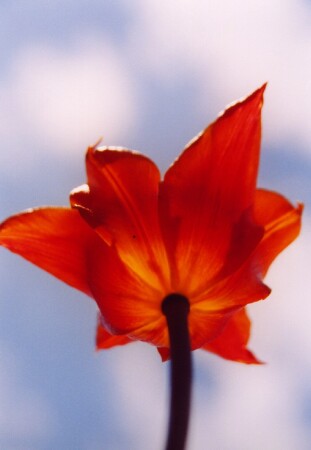 На встречу солнцу