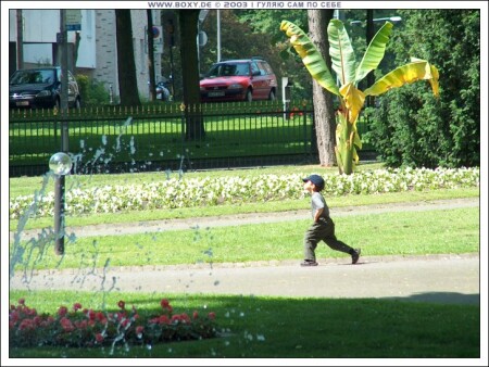 ГУЛЯЮ САМ ПО СЕБЕ