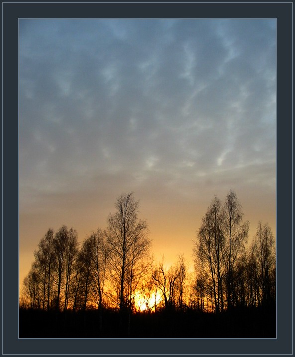 Закат в лесу