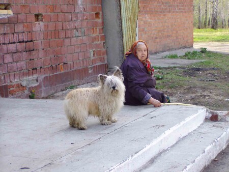 КОГО ЗВАЛИ ТО?