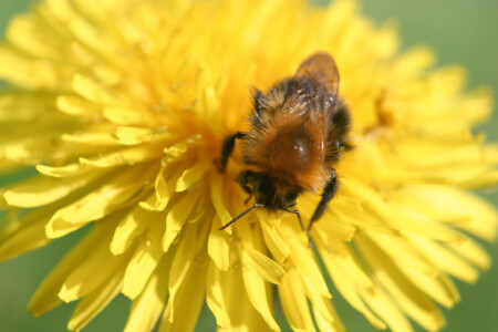 понаблюдаем за работой