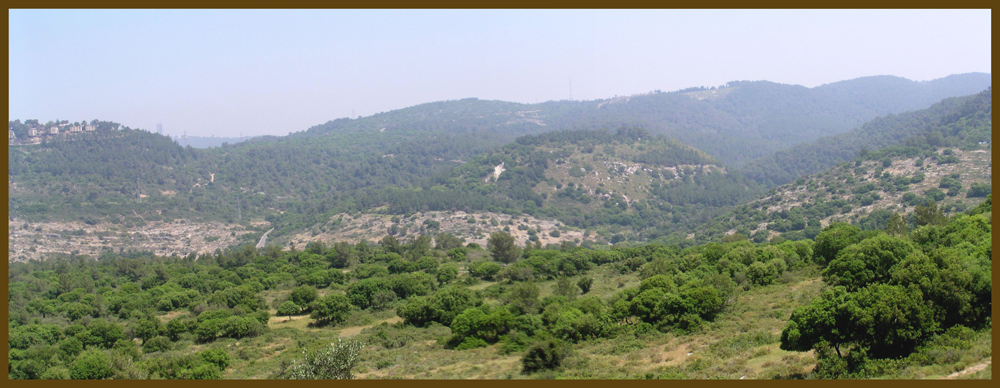Holyland