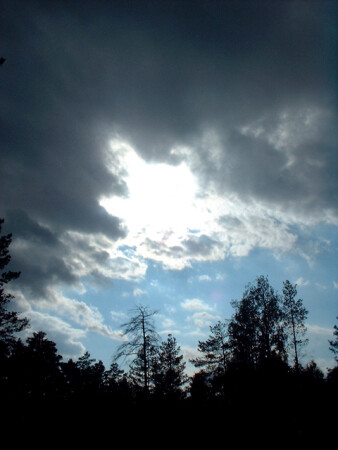 Буря мглою небо кроет