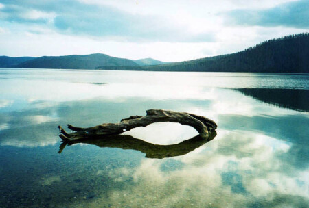 Reflection