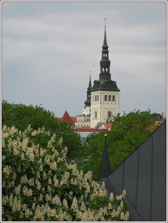 Vid na Niguliste i satarii Tallinn