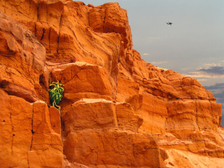 Красная скала