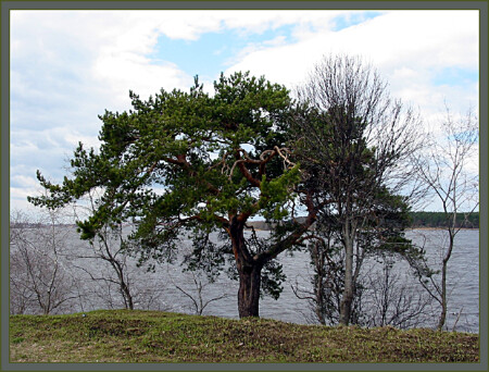 Ветренно и прохладно