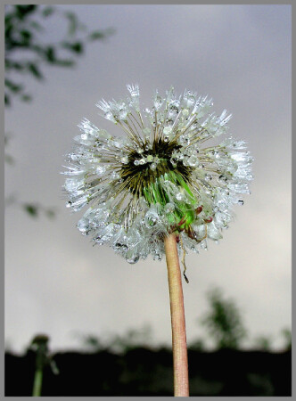 &quot;Нелетная погода&quot;