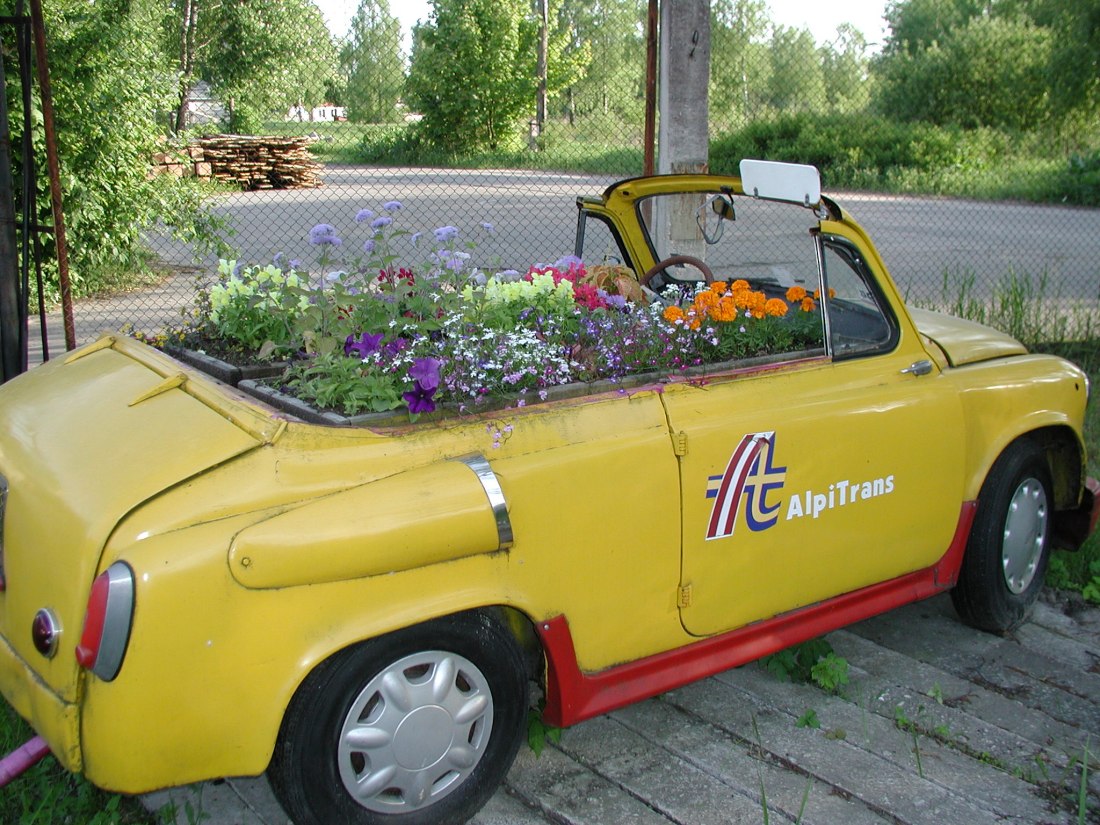 вечная жизнь