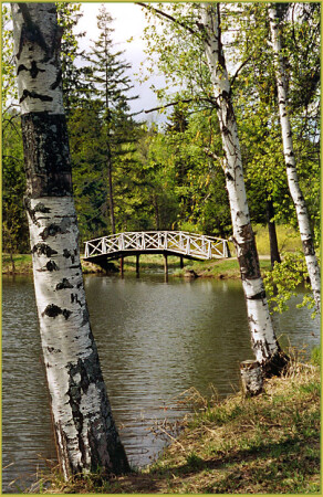 Абрамцевская весна [1] (Подмосковье)