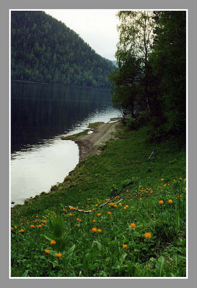 "Весна. Жарки"