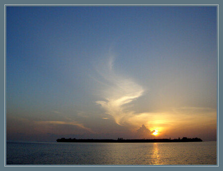 возвращение Джина