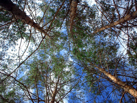 Головокружение