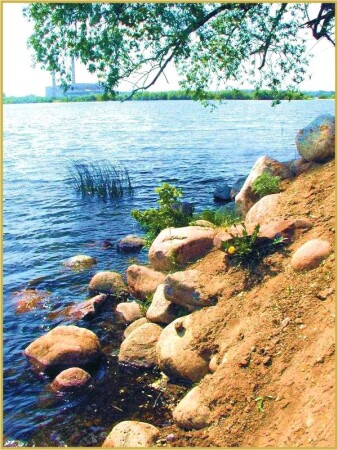 Камни