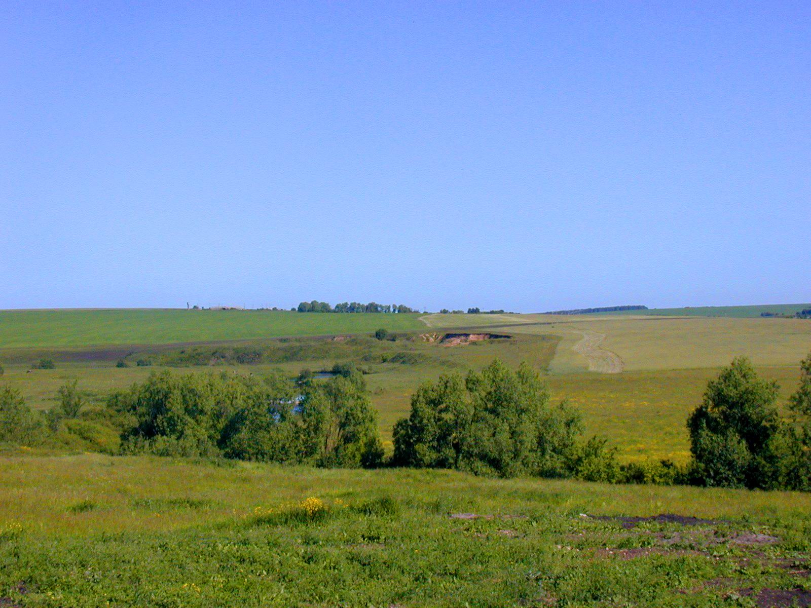 Куликово поле