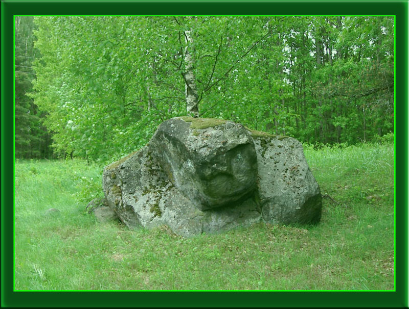 "каменная черепашка"