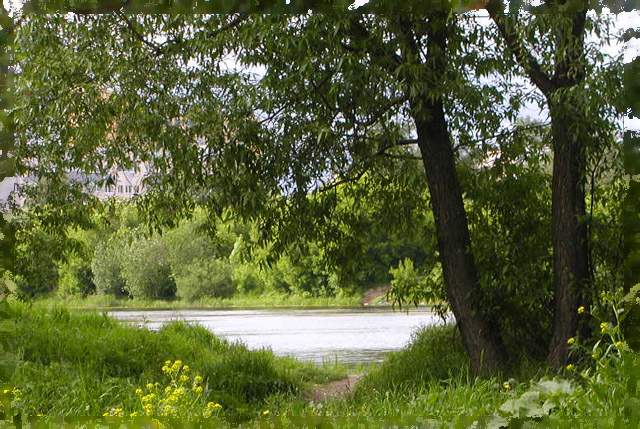 Дорога в сказку