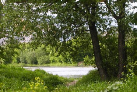 Дорога в сказку