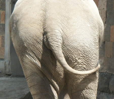 Пятая точка...