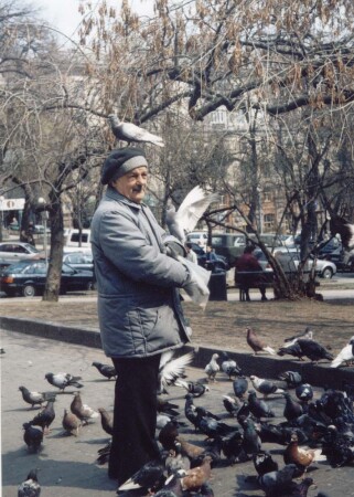 Голубиный папа