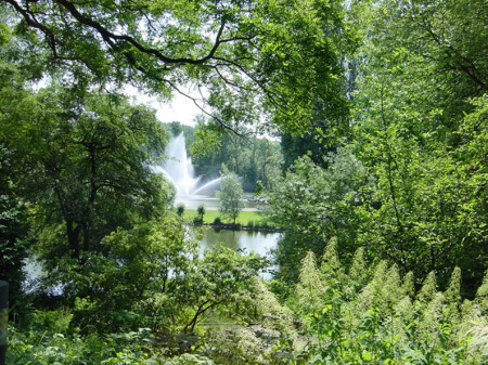 Уголок парка