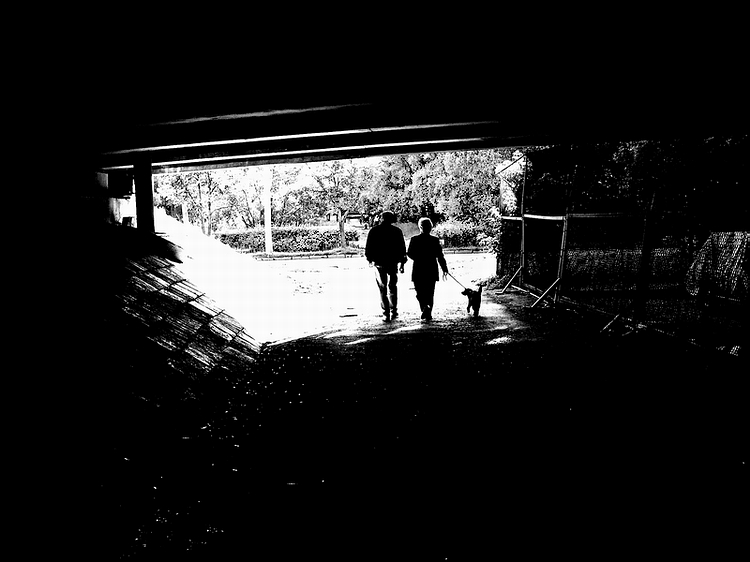 Under the bridge