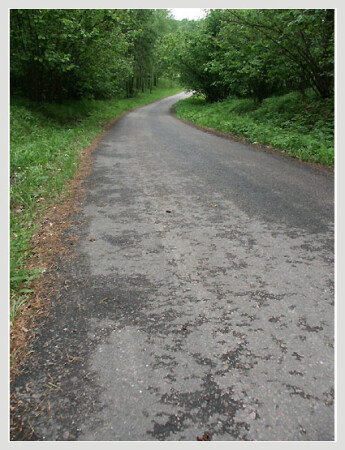 Вся жизнь дорога