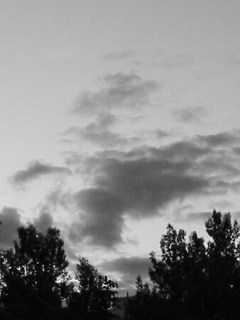 последнее утро