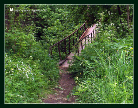 Всеми забытый