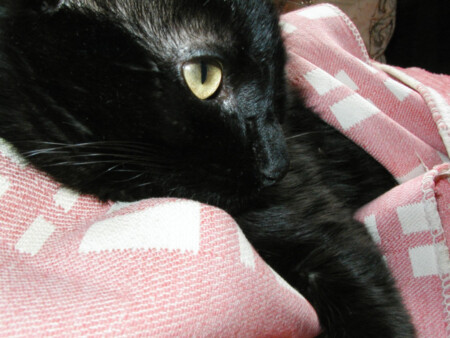 Кажется это была мышь...