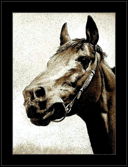 Horse head 2