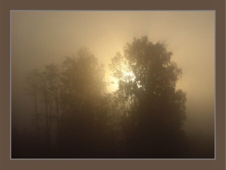 открыть занавес